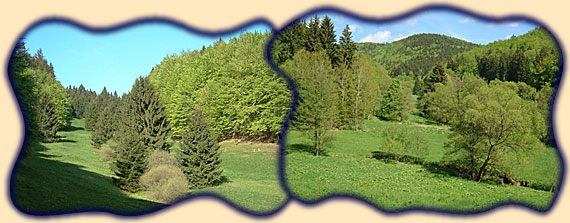 Seitentäler des Vessertals; Otterod bei Breitenbach